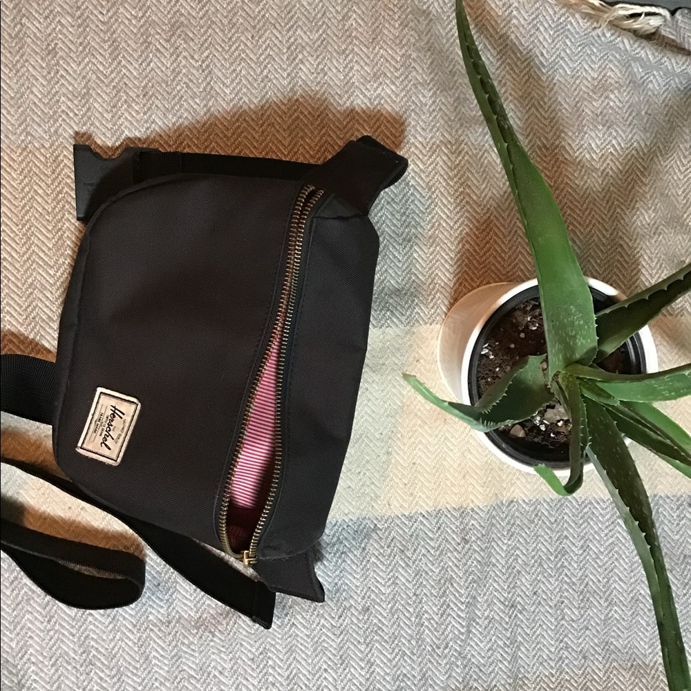 Herschel fifteen hip pack